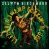 Selwyn Birchwood – Electric Swamp Funkin’ Blues (2026)