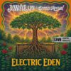 Jennifer Lyn & The Groove Revival Plug Into the Fire of Live Blues-Rock on “Electric Eden”