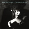 The Waterboys – This Is the Sea